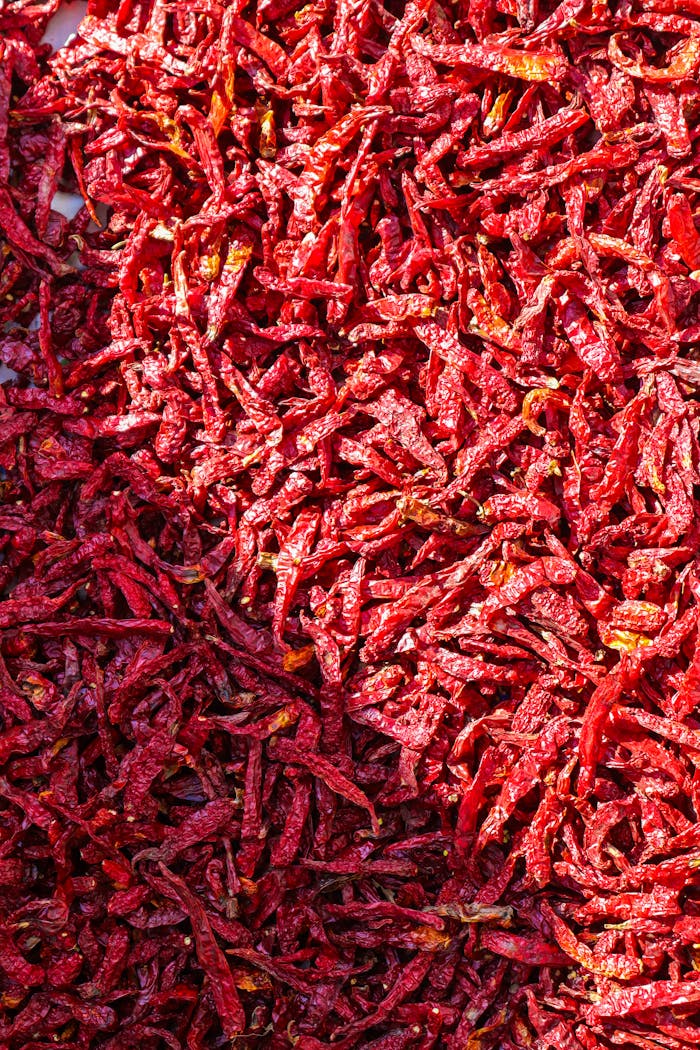Dynamic close-up of vibrant red dried chillies in Jaipur market, showcasing rich textures.
