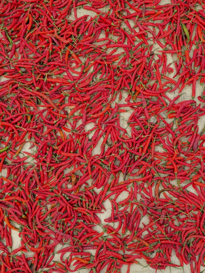 A lively spread of red chillies drying in Dhaka, Bangladesh capturing the essence of spice markets.